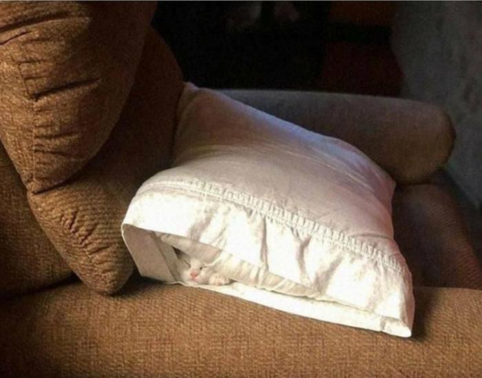 Подборка прикольных фото №3860