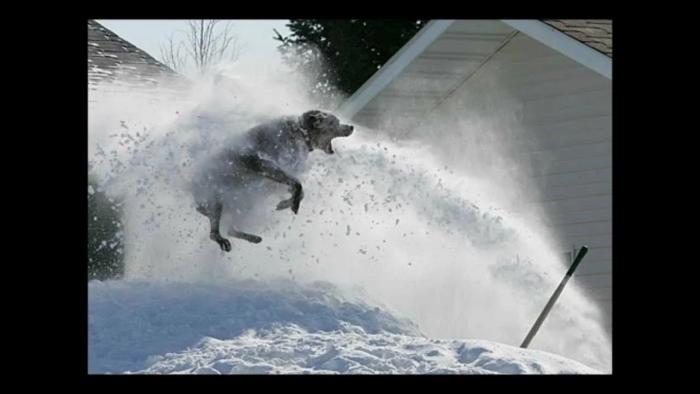 Подборка прикольных фото №3868