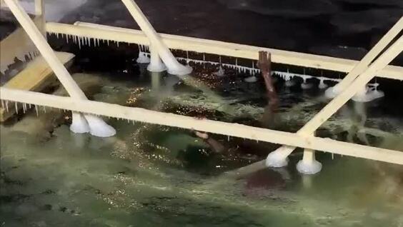 
        Эмоции на&nbsp;грани: чернокожий парень окунулся в&nbsp;прорубь    