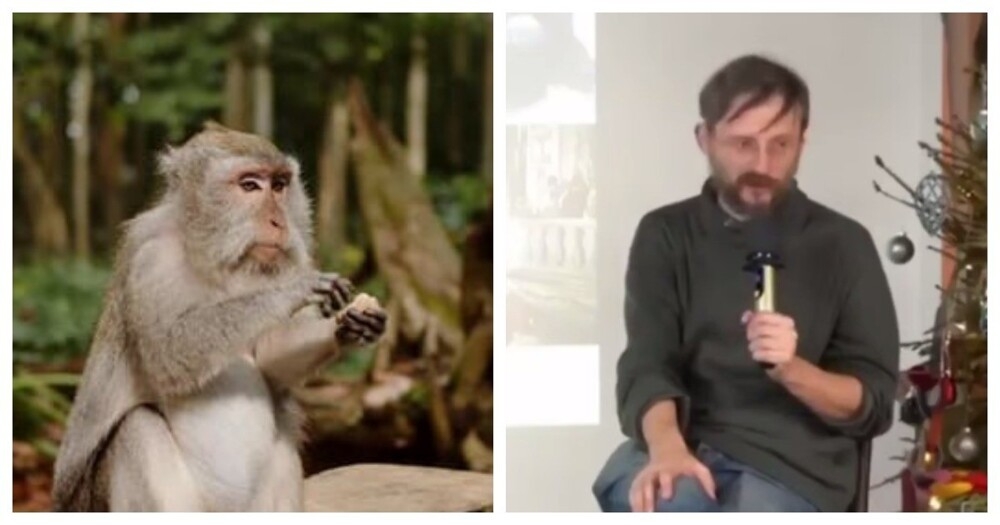 
        Не&nbsp;кормите диких обезьян    