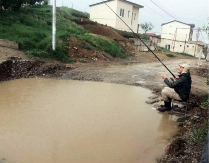 Подборка прикольных фото №3868