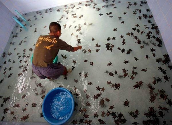 Подборка прикольных фото №3866