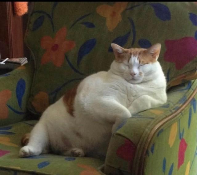 Подборка прикольных фото №3870