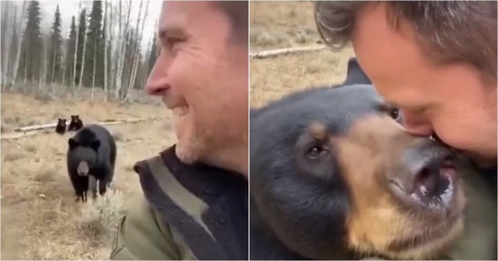 
        Черная медведица не&nbsp;забыла своего спасителя    