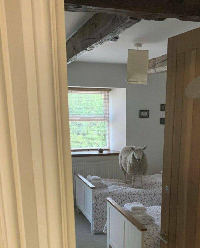 Подборка прикольных фото №3867