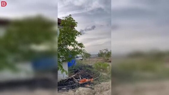 
        Эксперимент, который вышел из-под контроля    