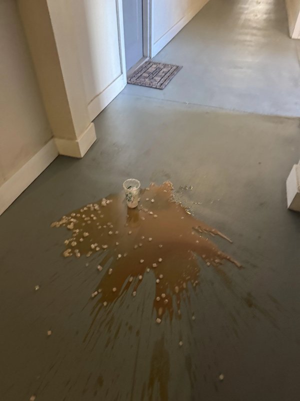 Люди, у которых выдался неудачный день (17 фото)