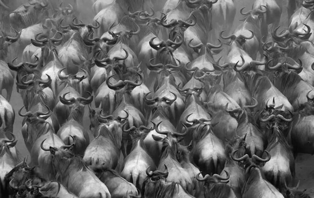 Monovisions Photography Awards 2025
Monovisions Photography Awards 2025