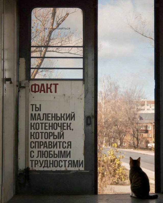 Лучшие шутки и картинки из Сети - 28.01.2026 (15 фото) Лучшие шутки и картинки из Сети - 28.01.2026 (15 фото)