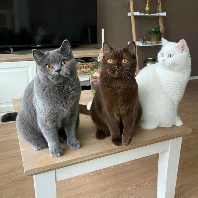 Подборка прикольных фото №3875