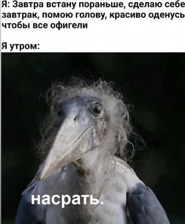 Подборка прикольных фото №3878