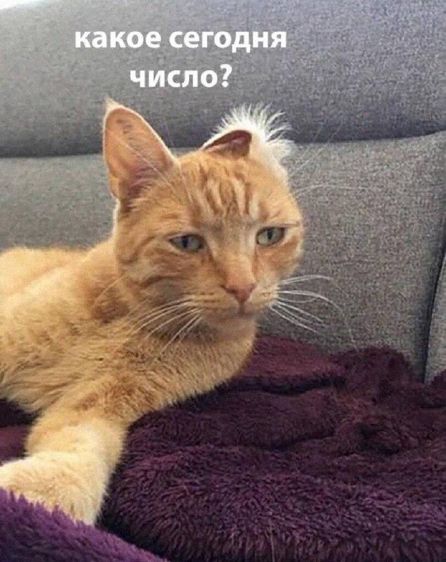 Подборка прикольных фото №3866