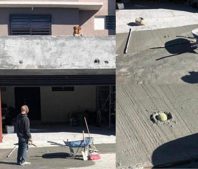 Подборка прикольных фото №3867