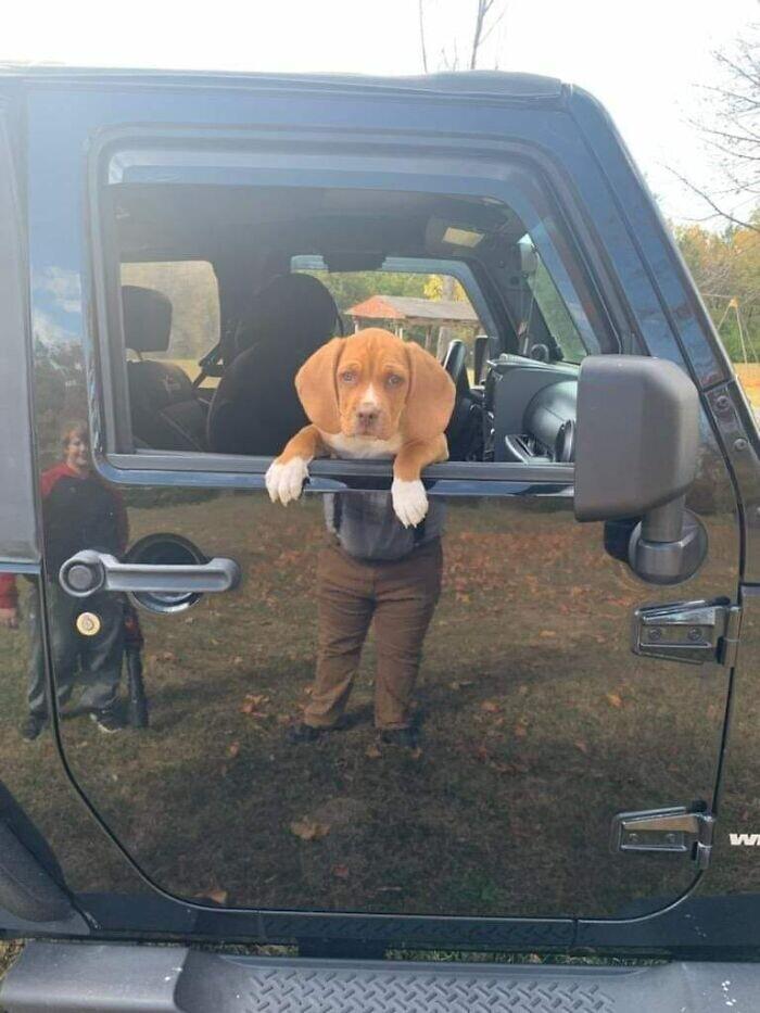 Подборка прикольных фото №3871