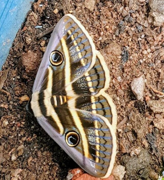 Подборка прикольных фото №3873