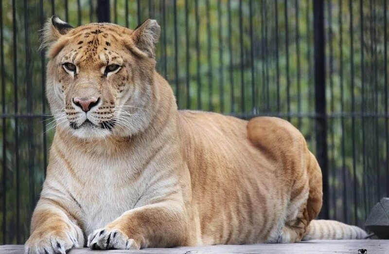 
        10&nbsp;фактов, которые заставят пошатнуться ваши привычные представления о&nbsp;мире    