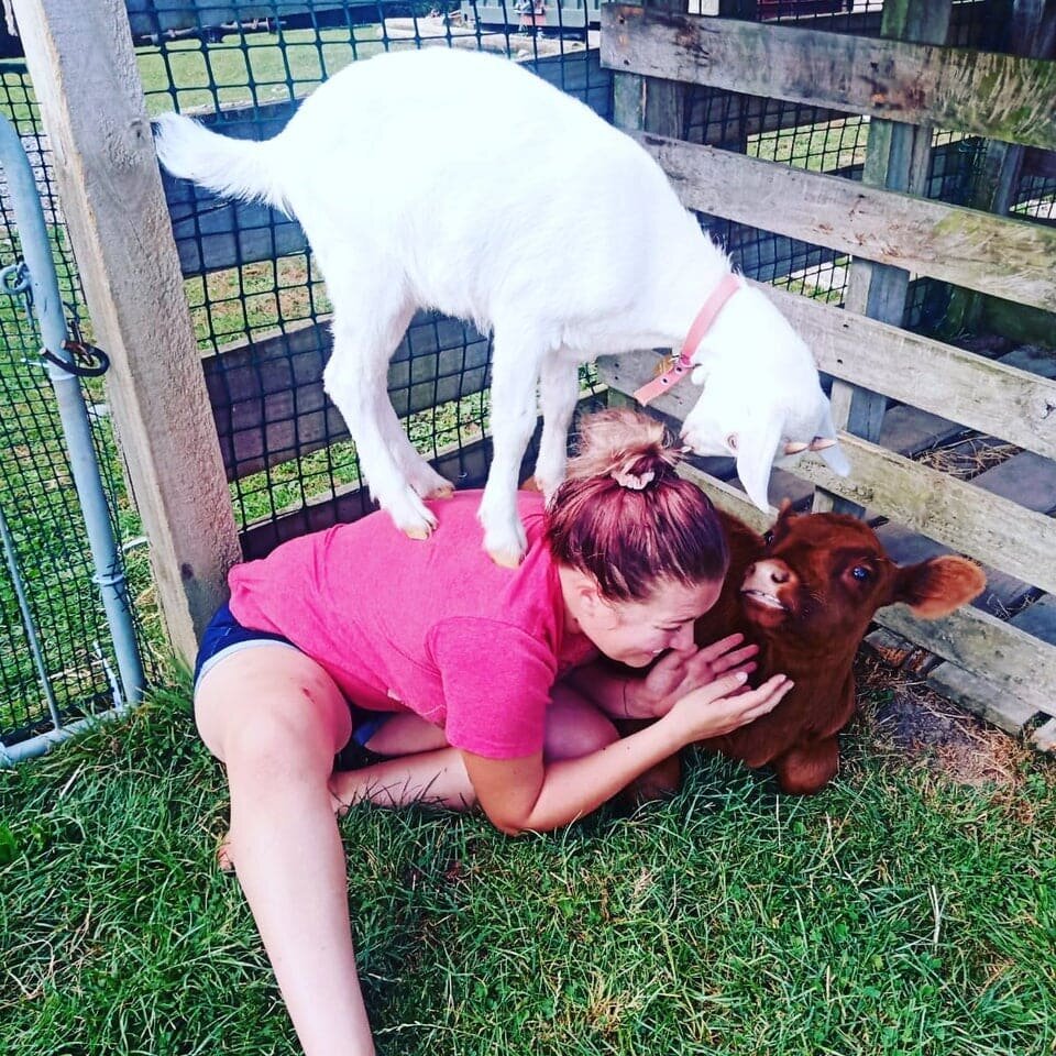 18 животных, которые перешли все границы дозволенного
18 животных, которые перешли все границы дозволенного