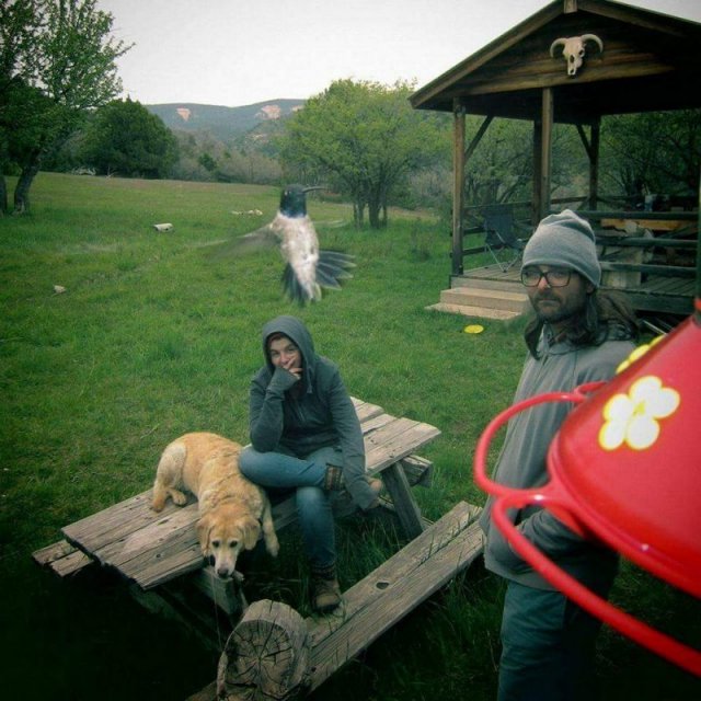 Подборка фотографий, сделанных в самый подходящий момент (25 фото) Подборка фотографий, сделанных в самый подходящий момент (25 фото)