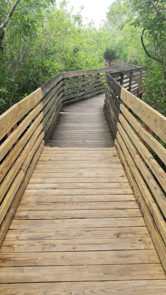 Фотографии, на которых показана вся сила чистоты (27 фото)