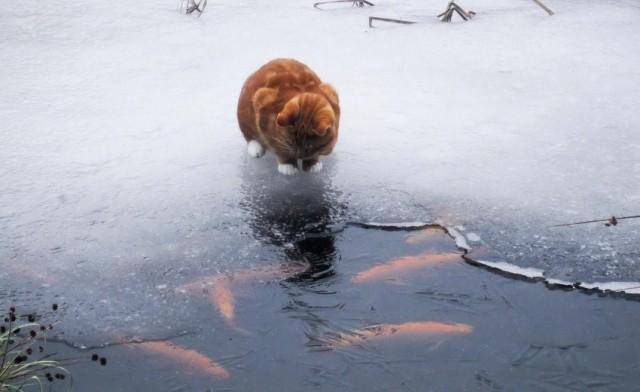 Подборка прикольных фото №3871