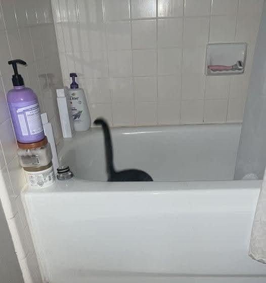 Подборка фотографий, на которые нужно посмотреть дважды (20 фото)