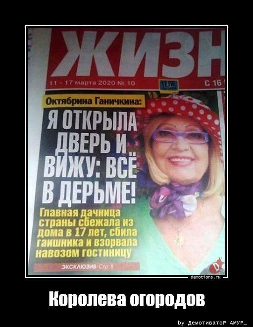 
			Демотиваторы №3786 (15 фото)