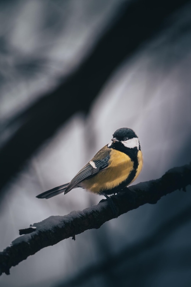 
        30&nbsp;фото, доказывающих, что&nbsp;чудо гораздо ближе, чем&nbsp;мы&nbsp;думаем    