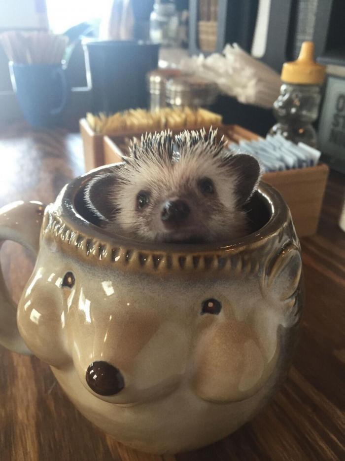 Подборка прикольных фото №3895