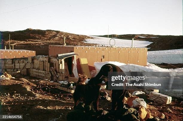 
        Антарктическая одиссея двух хаски: как&nbsp;Таро и&nbsp;Дзиро победили Антарктиду    
