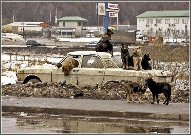 Подборка прикольных фото №3892