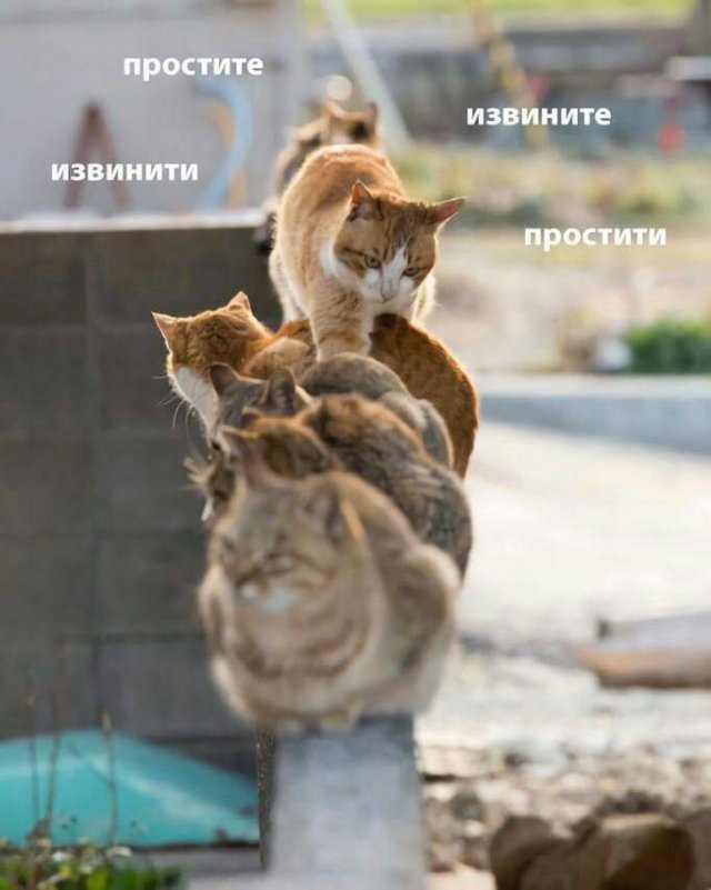 Лучшие шутки и мемы из Сети - 04.02.2026 (15 фото)