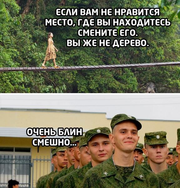 Смешные картинки