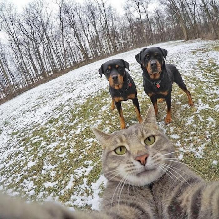 Подборка прикольных фото №3893