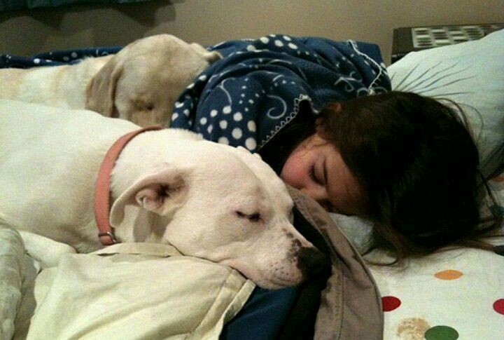 
        24&nbsp;примера милоты, дарящей позитив и&nbsp;чистое тихое счастье    