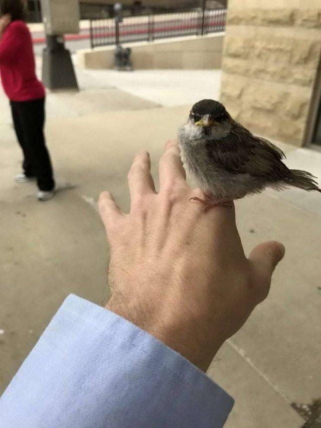 Подборка прикольных фото №3882