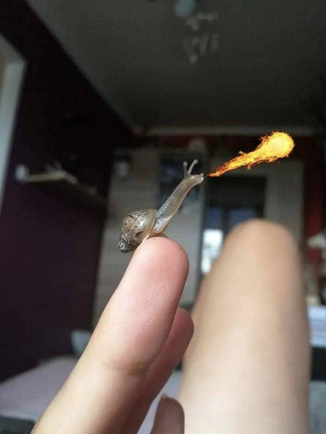 Подборка прикольных фото №3897