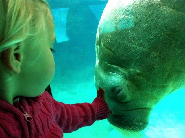 Подборка прикольных фото №3885