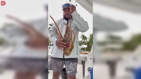 
        Похвастался уловом &mdash; получил удар: гигантский лобстер &laquo;отомстил&raquo; рыбаку    