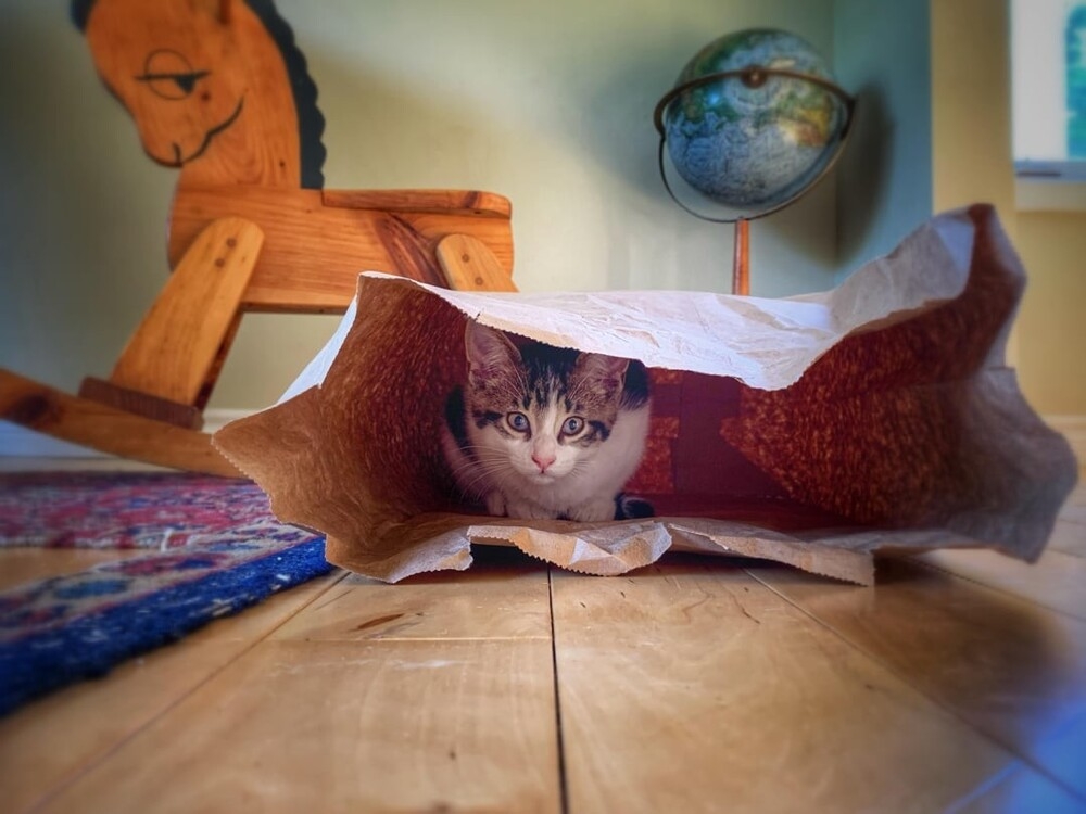 
        30&nbsp;фото, доказывающих, что&nbsp;чудо гораздо ближе, чем&nbsp;мы&nbsp;думаем    