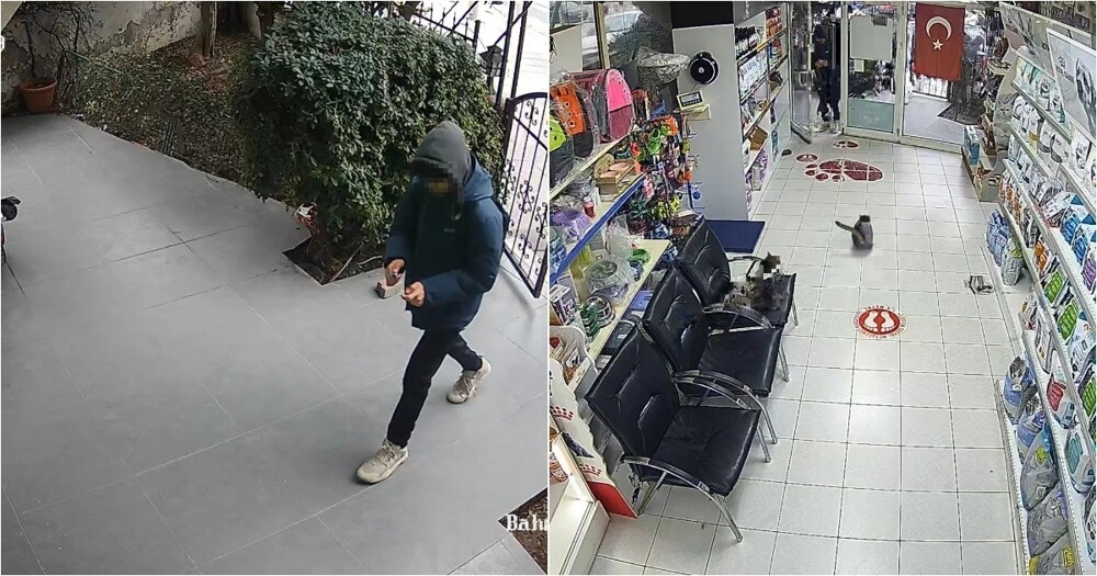 
        В&nbsp;Турции подростки бросили петарду в&nbsp;ветеринарную клинику    