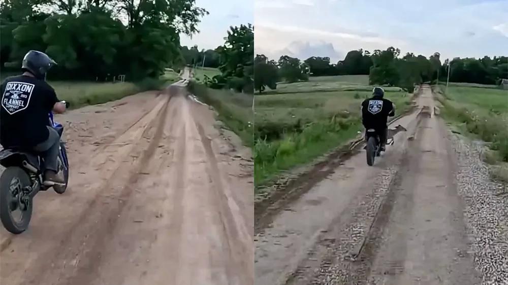 Мотоциклист столкнулся с оленем — и проиграл
Мотоциклист столкнулся с оленем — и проиграл