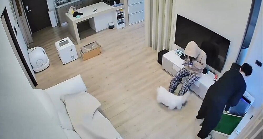 
        Девушка попала в&nbsp;эпицентр "домашнего торнадо"    