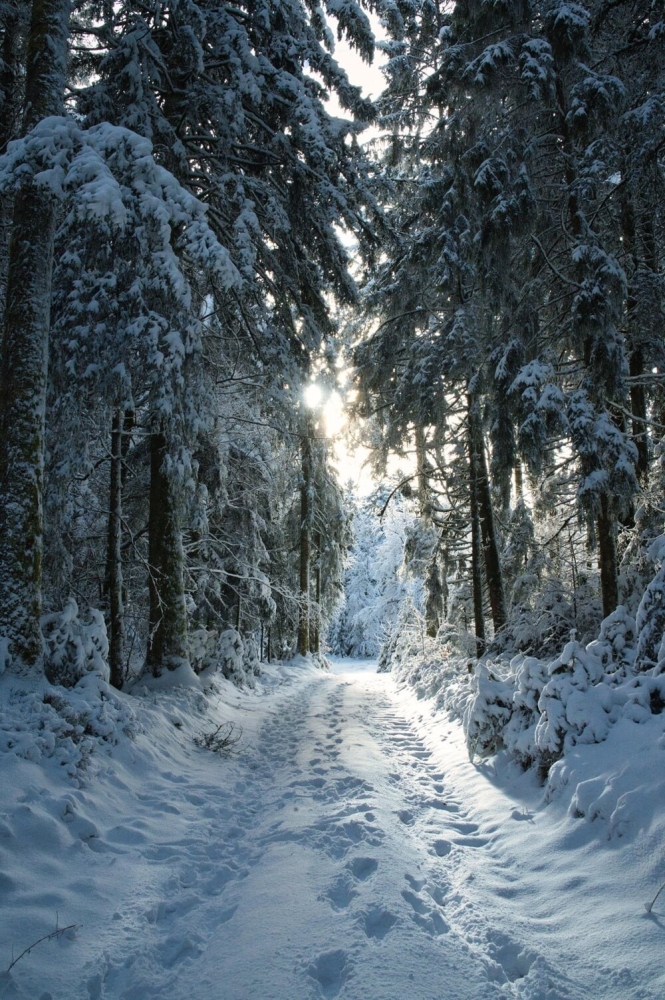 
        30&nbsp;фото, доказывающих, что&nbsp;чудо гораздо ближе, чем&nbsp;мы&nbsp;думаем    