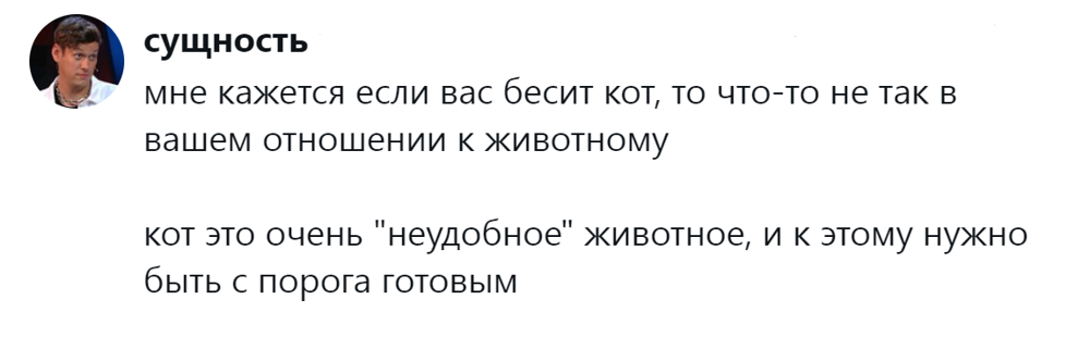 
        &laquo;Цыганам или&nbsp;в&nbsp;кошачий детдом&raquo;: пользователи назвали места, куда грозят отдать кота после переполнения чаши терпения    