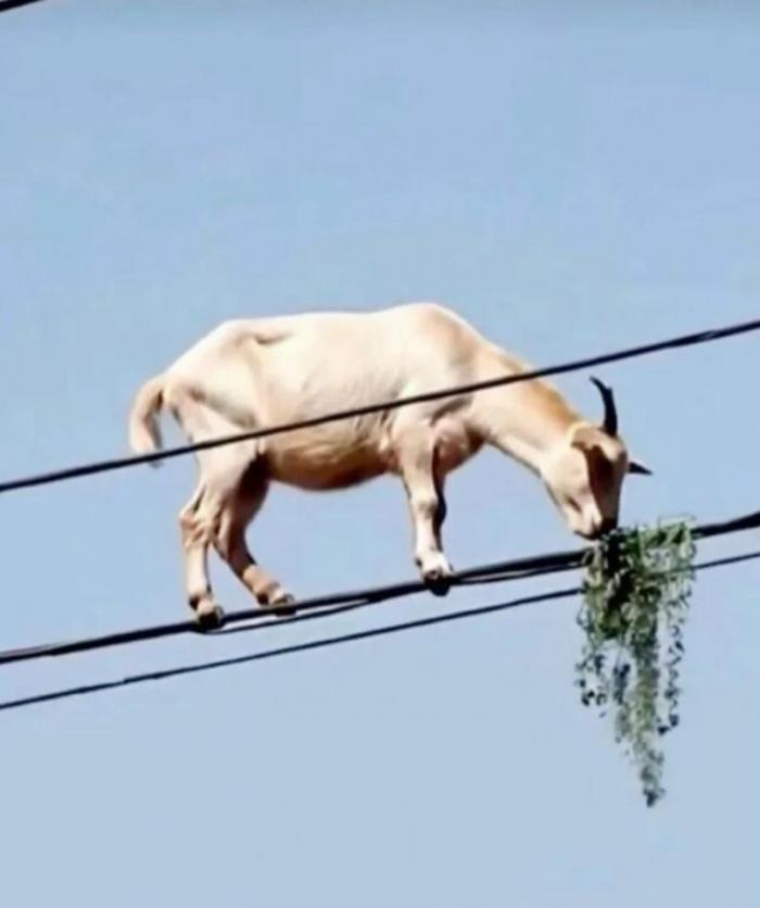 Подборка прикольных фото №3893