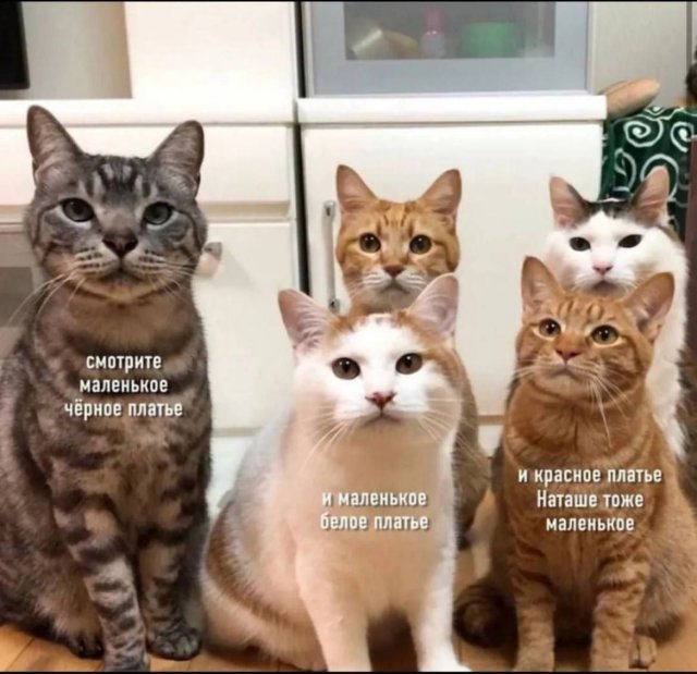 Лучшие шутки и мемы из Сети - 04.02.2026 (15 фото)