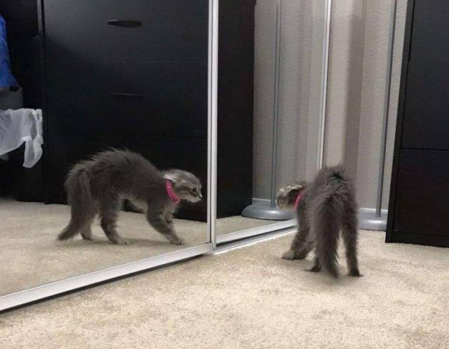 Подборка прикольных фото №3882