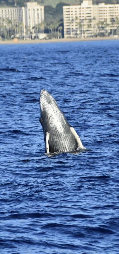 
        30&nbsp;снимков, запечатлевших простую красоту нашего мира    