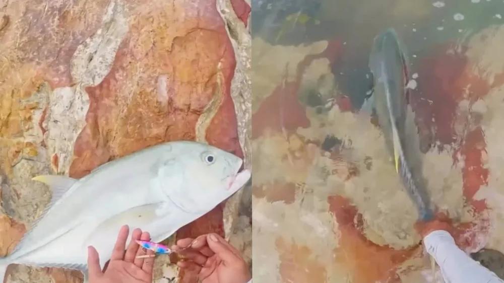 
        Рыбак хотел отпустить улов, но&nbsp;всё&nbsp;пошло не&nbsp;по&nbsp;плану    