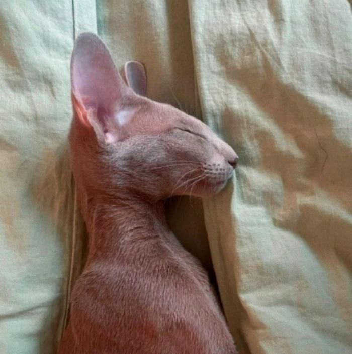 Подборка прикольных фото №3893